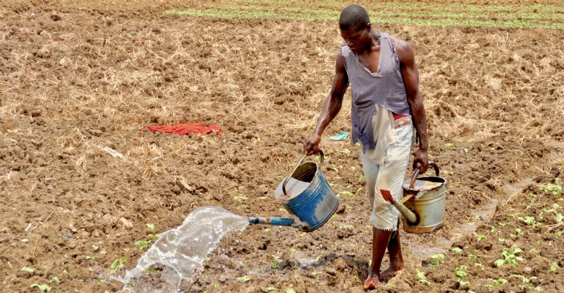 How to protect food and drink supply chains