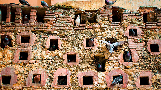 How a Problem About Pigeons Powers Complexity Theory