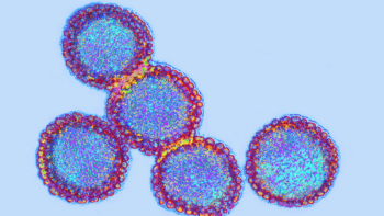 Flu: Facts about seasonal influenza and bird flu