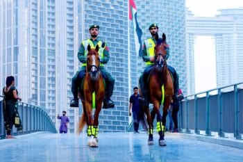 Last Year, Dubai Police ‘Horse Unit’ Issued 463 Traffic Fines During 1,464 Patrol Rounds