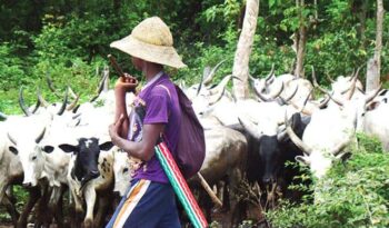 Fulani Herdsmen Asked To Vacate Benue Community In 48-hours