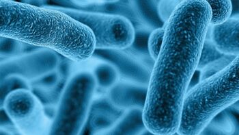 What You Should Know About Vaginal Yeast Infections