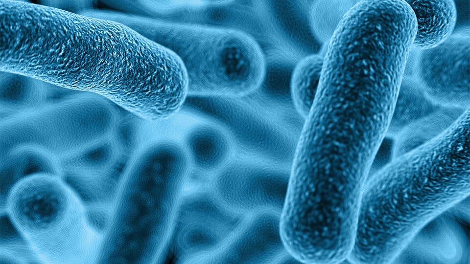 What You Should Know About Vaginal Yeast Infections