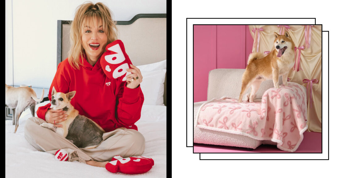 Pet Parents: Amazon’s Furball-Focused Sale Includes These Star-Founded Brands and Stylish Gear
