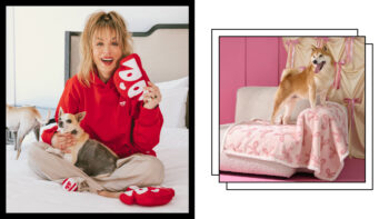 Pet Parents: Amazon’s Furball-Focused Sale Includes These Star-Founded Brands and Stylish Gear