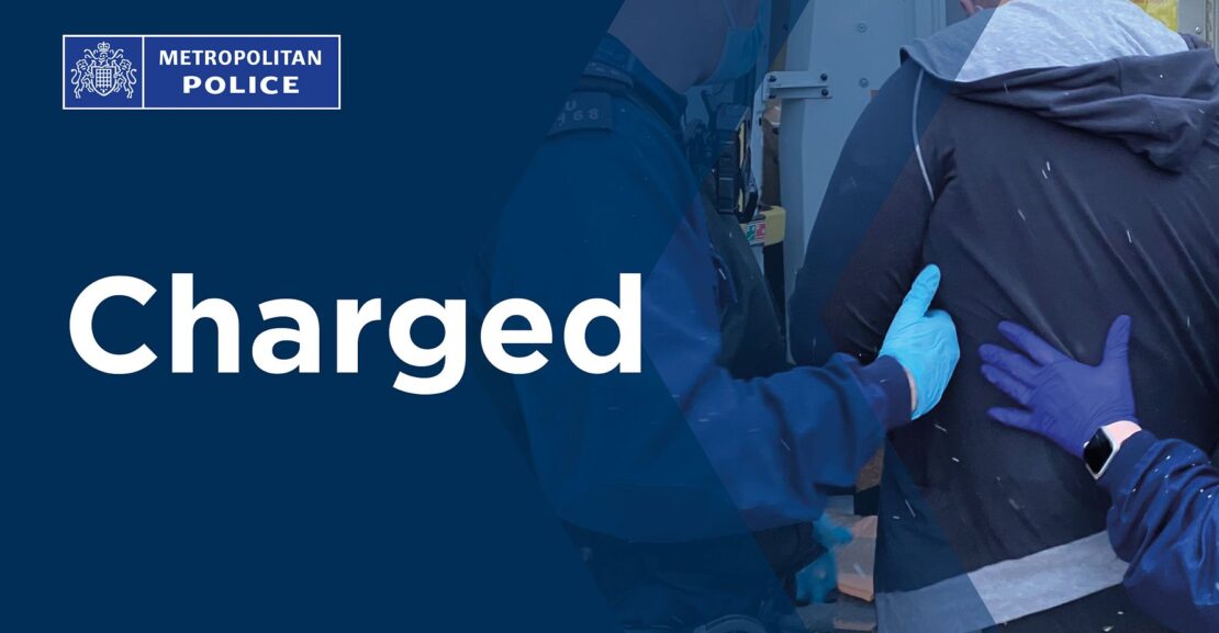 Two teenagers charged over kitten cruelty