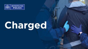 Two teenagers charged over kitten cruelty