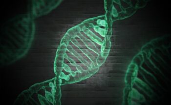 AI Cracks Plant DNA: Revolutionizing Genomics & Farming | Mirage News