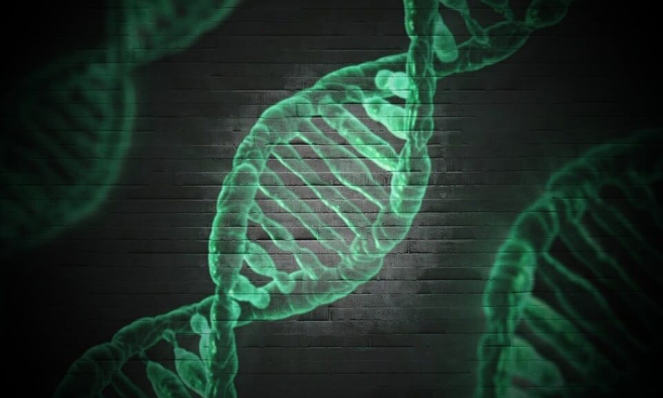 AI Cracks Plant DNA: Revolutionizing Genomics & Farming | Mirage News