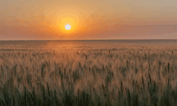 The Power of the Prairie
