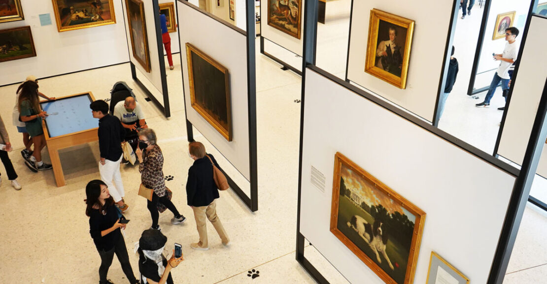 A Fetching Museum