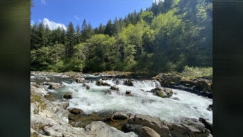 Clark County looking to fill live-in, volunteer park host position at Moulton Falls Regional Park