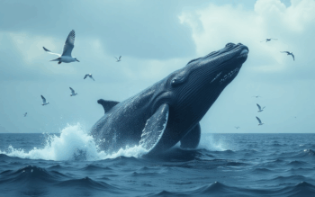 Hyperliquid price surges to all-time high with TVL crossing $2 billion