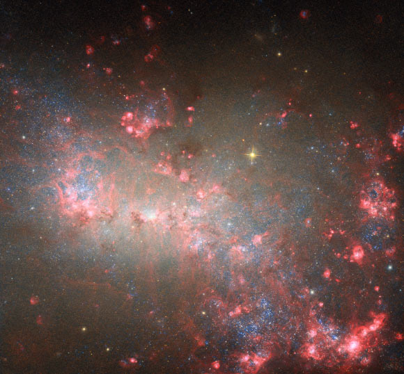 Hubble Space Telescope Captures New Image of NGC 4449