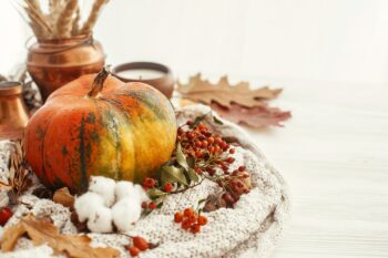Creative Thanksgiving Crafts to Celebrate the Holiday Season