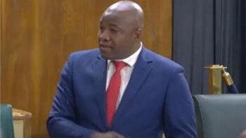 PNP promises security of tenure for long term occupiers of state-owned land