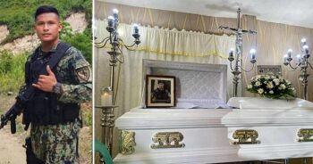 Palawgan ang binuhing hayop katapusang gitugon ni Ornopia