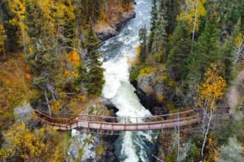 Manitoba’s PNP issues invitations to skilled workers and international students