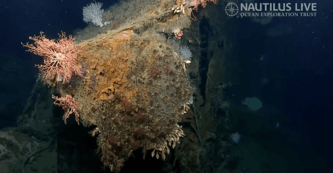 Shipwreck fragment linked to one of WWII’s strangest rescue tales