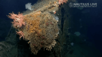 Shipwreck fragment linked to one of WWII’s strangest rescue tales