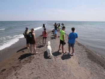 Exploring Canada? Here are Windsor area’s must-visit green spaces