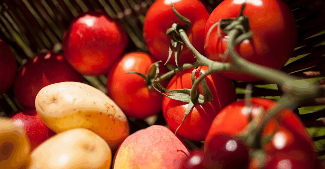 How the tomato created the potato