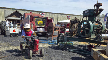 What’s happening at the Clark County Fair on Sunday, Aug. 3