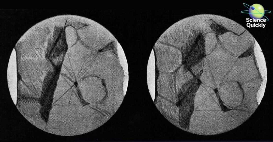 180 Years of Scientific American Means 180-Degree Turns in Science—Here Are Some of the Wildest Ones