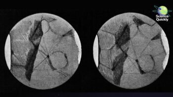 180 Years of Scientific American Means 180-Degree Turns in Science—Here Are Some of the Wildest Ones