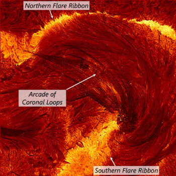 Inouye Solar Telescope Sees Unprecedented Fine Details in Coronal Flare Loops