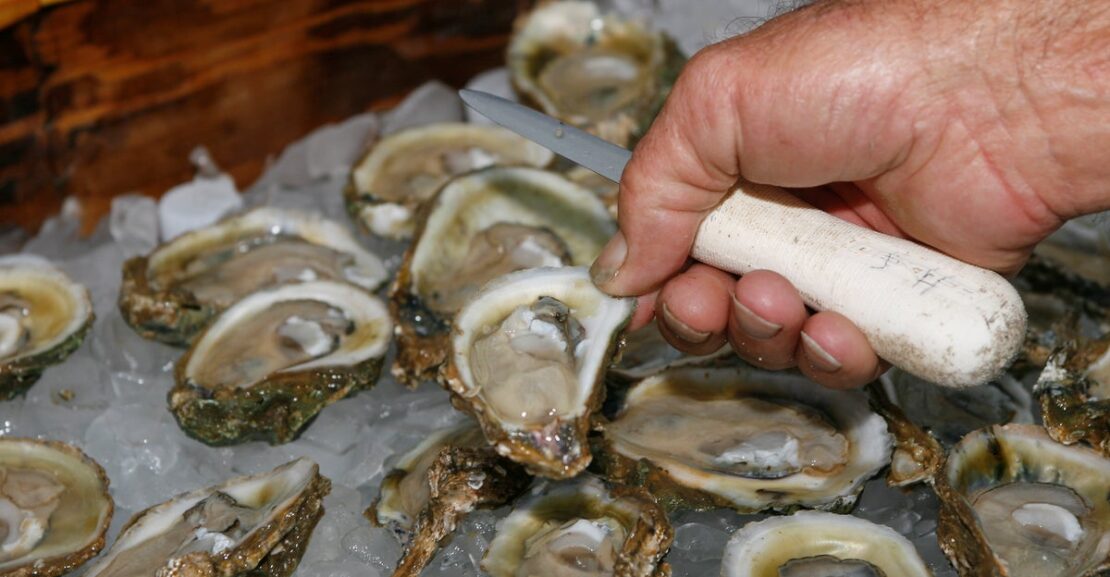Two dead from flesh-eating bacteria after eating raw oysters