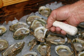 Two dead from flesh-eating bacteria after eating raw oysters