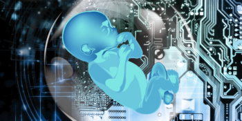 JENNIFER BILEK: The true nature of the gender industry