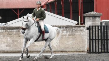 Meet the ‘ambassadors on horseback’ of Ireland’s Army Equitation School