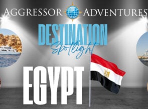 Aggressor Adventures Spotlights Dive Destinations In Egypt