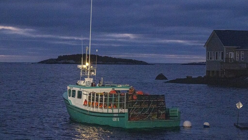 Nova Scotia to create enforcement unit to fight illegal seafood buying, processing