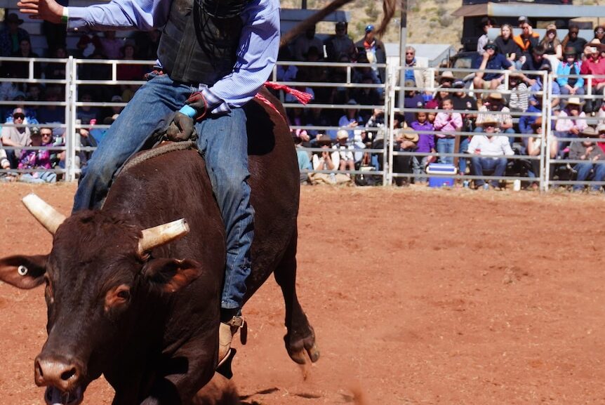 Hundreds gather at Harts Range for red dirt racing and rodeo